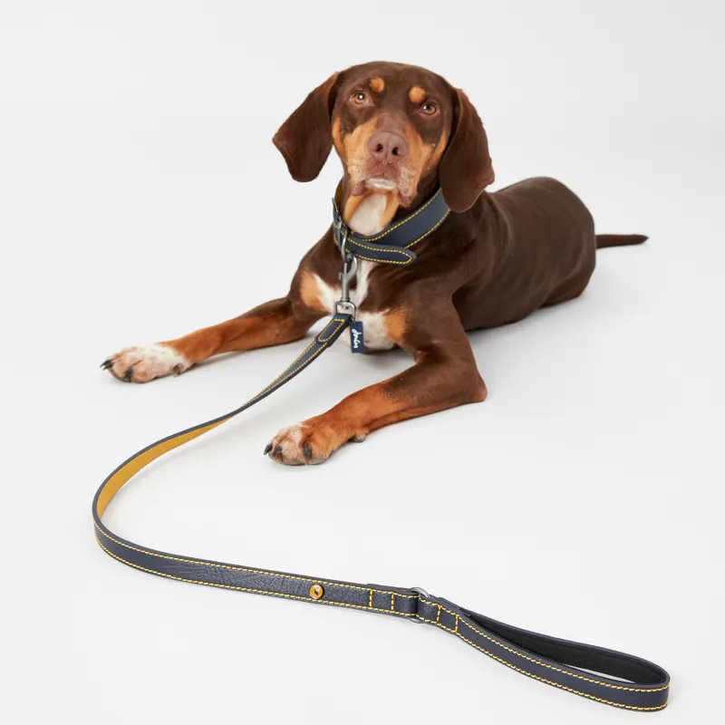 Joules Leather Dog Lead Navy-2